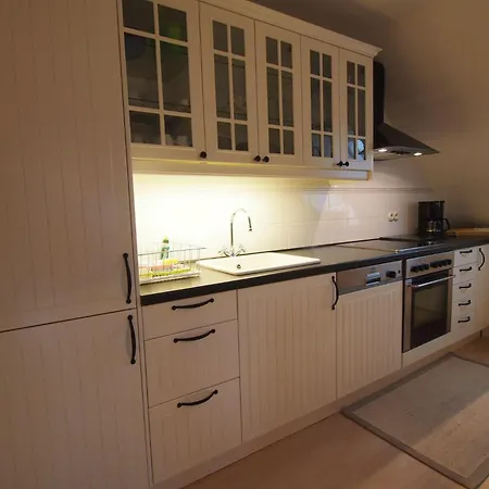 Lejlighed Gut-rattelvitz-galerie-f-hochwertig-sauna-kamin-etankstelle-spielscheune-15-000qm-park-land