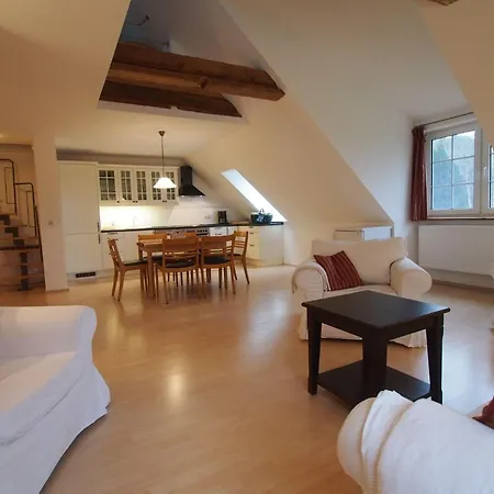 Gut-rattelvitz-galerie-f-hochwertig-sauna-kamin-etankstelle-spielscheune-15-000qm-park-land Lejlighed Gingst