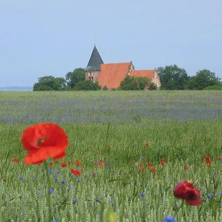 Gut-rattelvitz-galerie-f-hochwertig-sauna-kamin-etankstelle-spielscheune-15-000qm-park-land Lejlighed Gingst