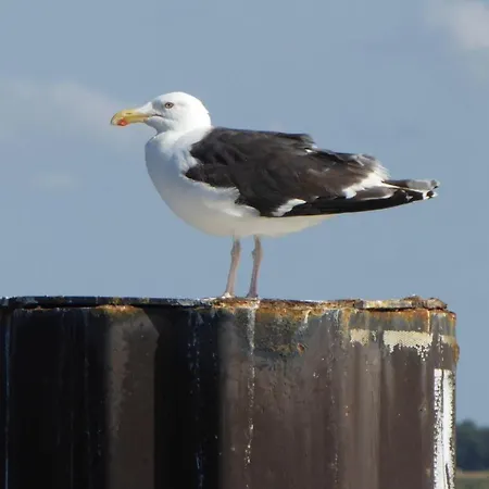 Gut-rattelvitz-galerie-f-hochwertig-sauna-kamin-etankstelle-spielscheune-15-000qm-park-land Lejlighed *