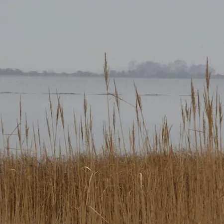 Gut-rattelvitz-galerie-f-hochwertig-sauna-kamin-etankstelle-spielscheune-15-000qm-park-land * Gingst