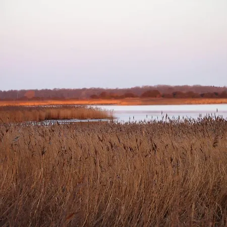Gut-rattelvitz-galerie-f-hochwertig-sauna-kamin-etankstelle-spielscheune-15-000qm-park-land Lejlighed