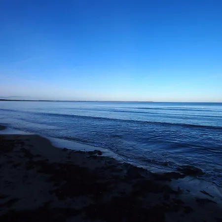 Gut-rattelvitz-galerie-f-hochwertig-sauna-kamin-etankstelle-spielscheune-15-000qm-park-land Lejlighed Gingst