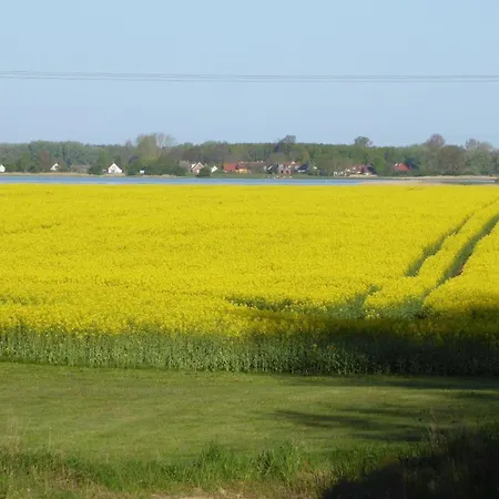 Gut-rattelvitz-galerie-f-hochwertig-sauna-kamin-etankstelle-spielscheune-15-000qm-park-land Lejlighed *