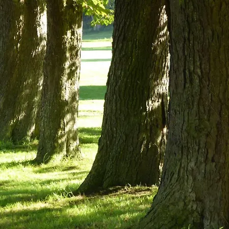 Lejlighed Gut-rattelvitz-galerie-f-hochwertig-sauna-kamin-etankstelle-spielscheune-15-000qm-park-land *