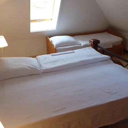 Lejlighed Gut-rattelvitz-galerie-f-hochwertig-sauna-kamin-etankstelle-spielscheune-15-000qm-park-land *